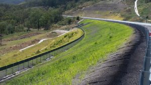 Toowomba Road Australia Environmental Actions Award Fauna Flora Ferrovial Fight Climate Change Nature